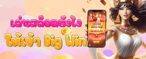 VIP Exclusive Bonus promotion image